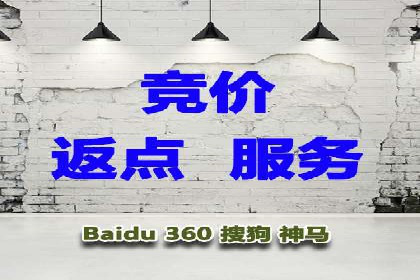 某某sem推广公司在某行业的应用与效果分析